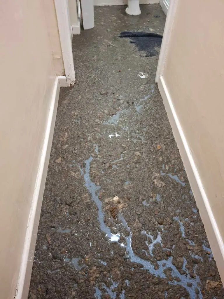 Images Belgravia Cleaning Services Ltd