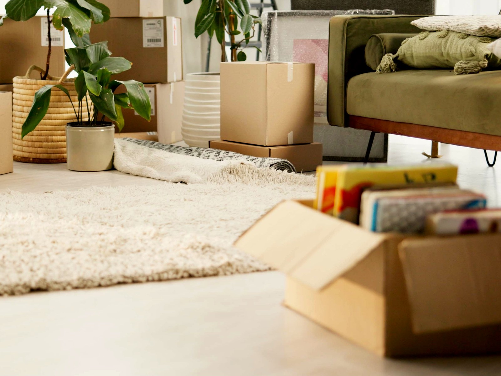 Lakewood Expedited Long-Distance Movers