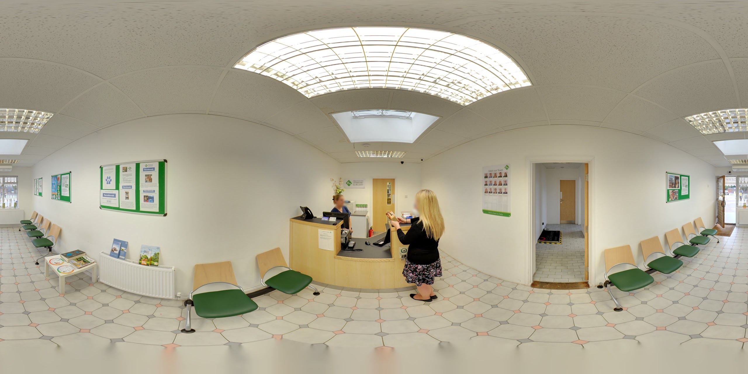 Images Streatham Hill Veterinary Surgery