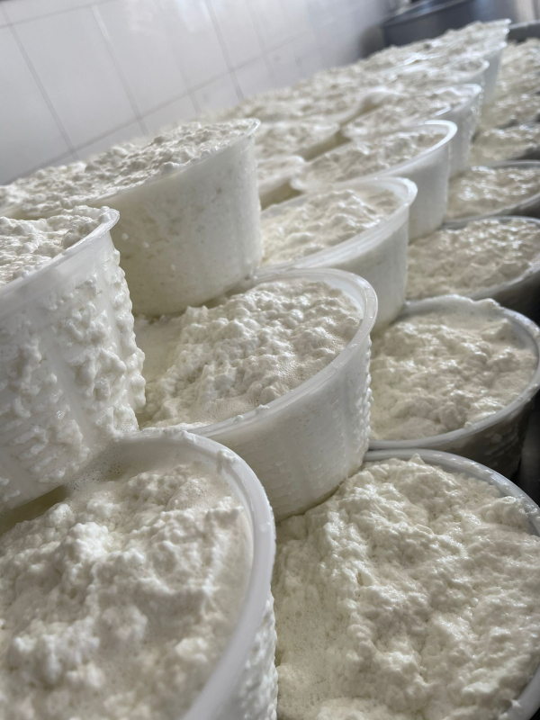 Images Caseificio Perri