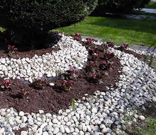 Images Azienda Agricola Ferrario