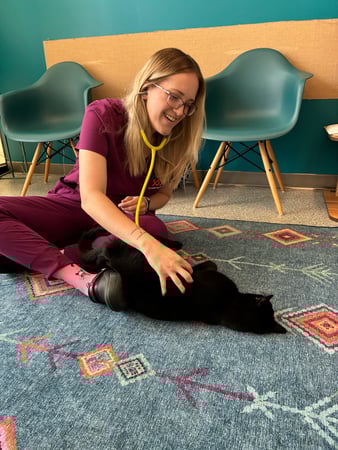 Images PetVet365 Pet Hospital Louisville/Anchorage