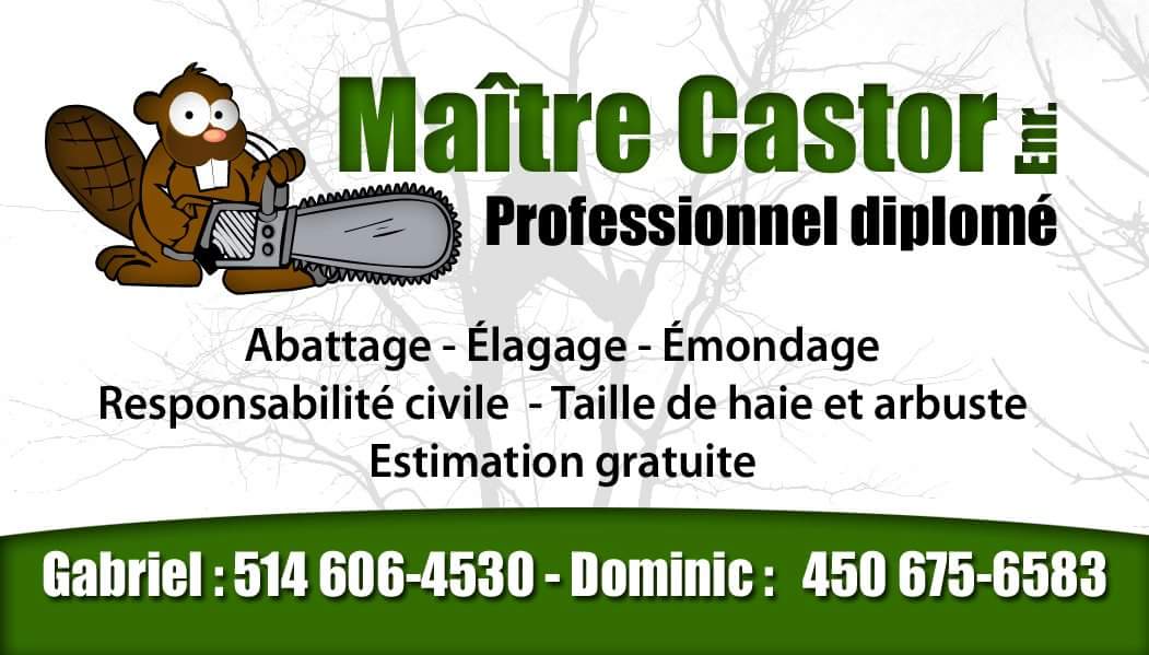 Maitre Castor - Élagage, Abattage, Essouchage - Sainte-Anne-des-Lacs Sainte-Anne-des-Lacs (450)675-6583
