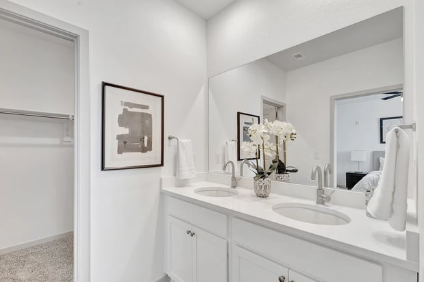 Images Arrive Longmont