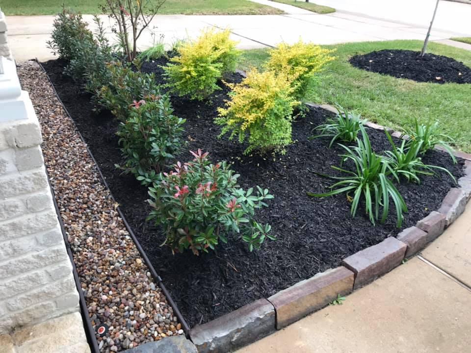 Cut Above Landscaping and Irrigation Photo