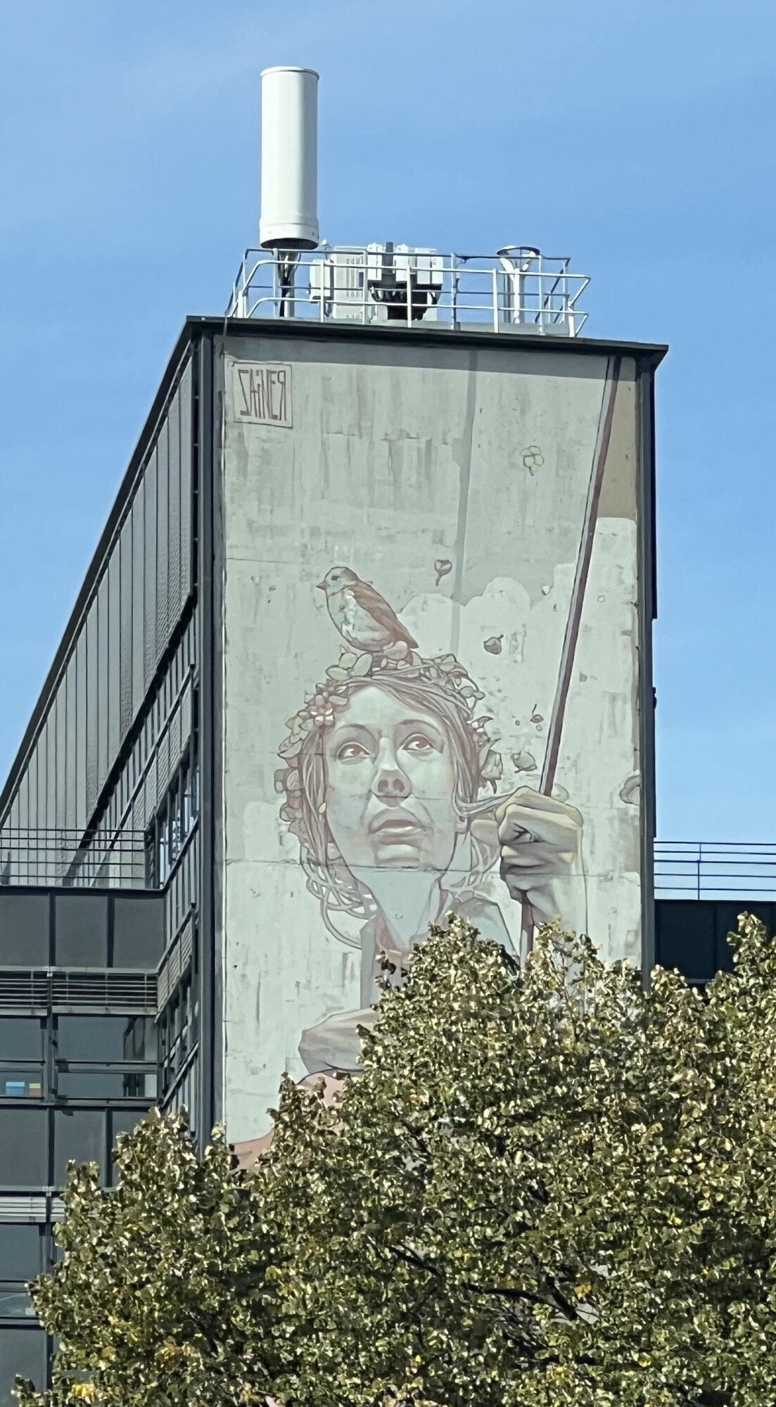 galerie image