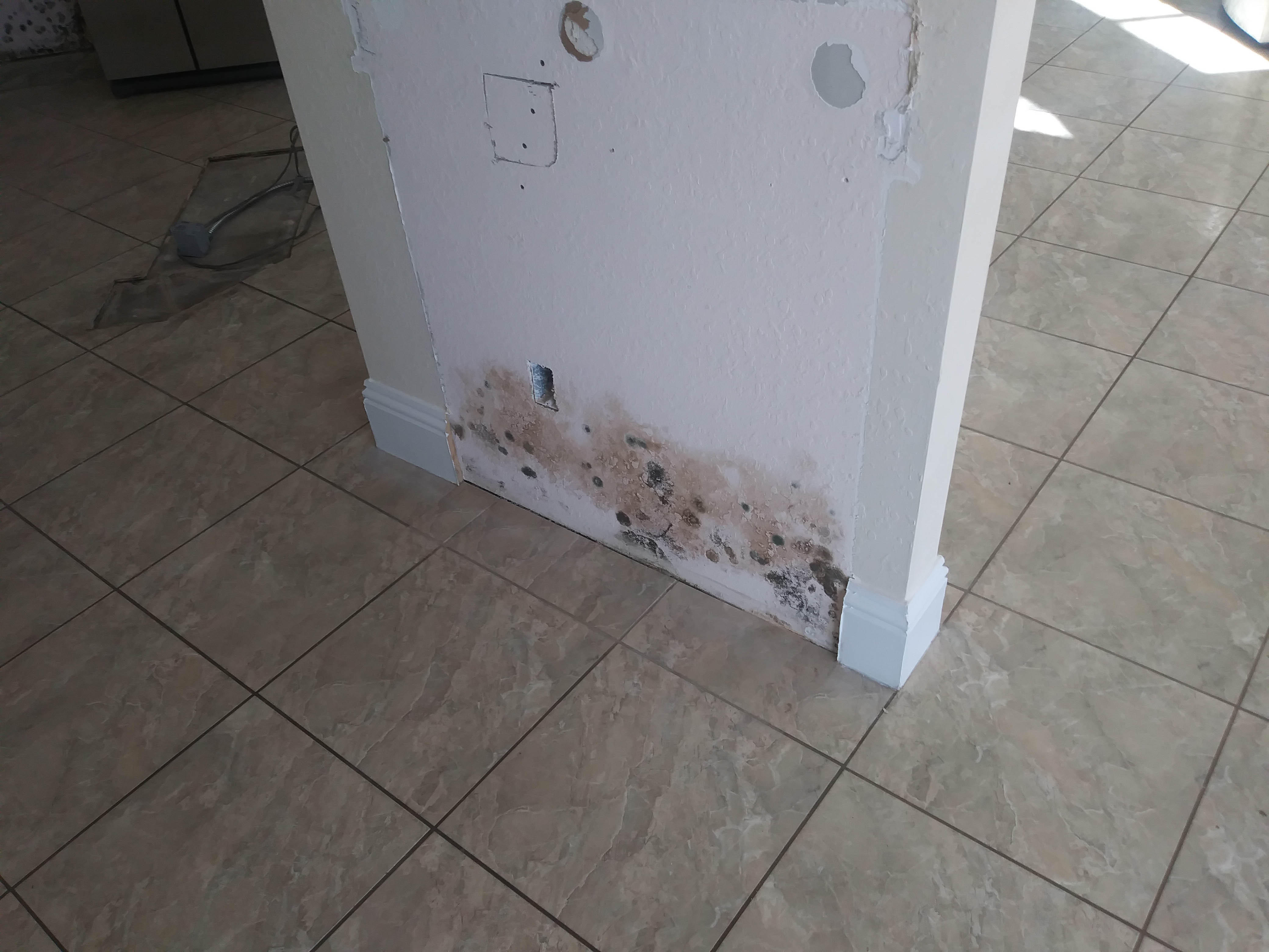 Mold growth can be difficult to diagnose, luckily our trained professionals complete extensive training in order to do this and rid your property of the growth.