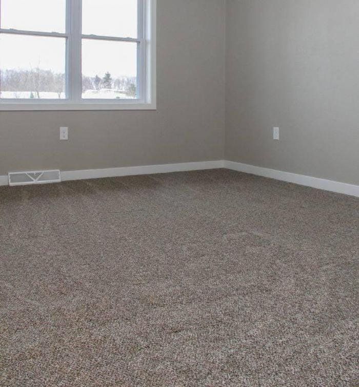 Empty room with freshly installed carpet flooring, neutral painted walls, white baseboards, and large window allowing natural light, showcasing clean, modern interior space suitable for residential living.