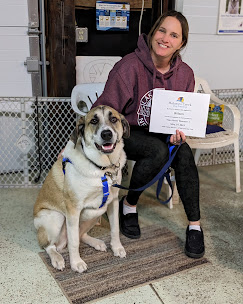 Images Molasses Creek Dog Training, LLC