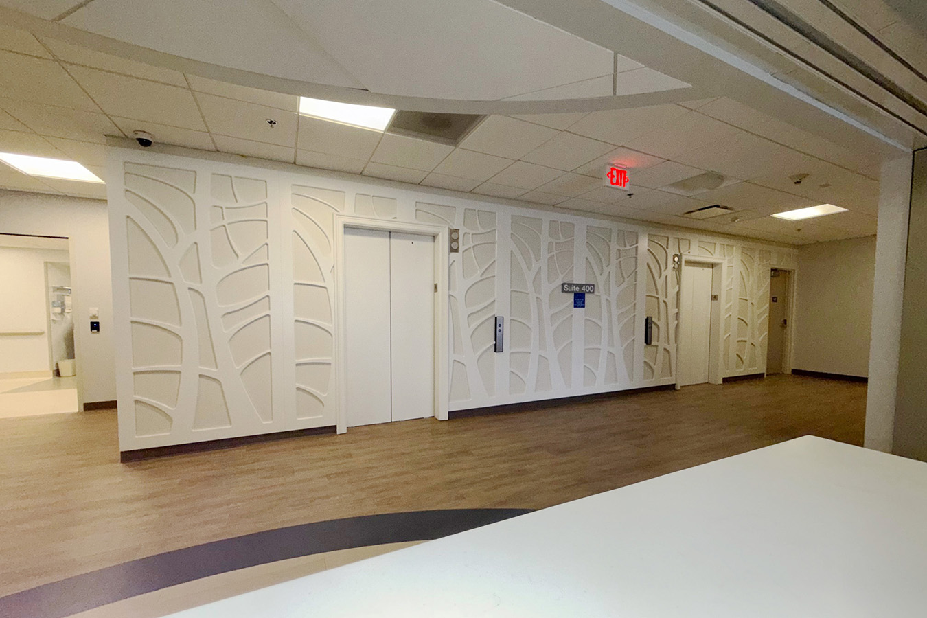 Avana Plastic Surgery Image