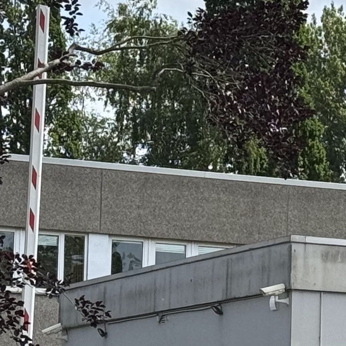 Autismus Frühförderung und Entwicklungsberatung, Waller Heerstraße 103 in Bremen