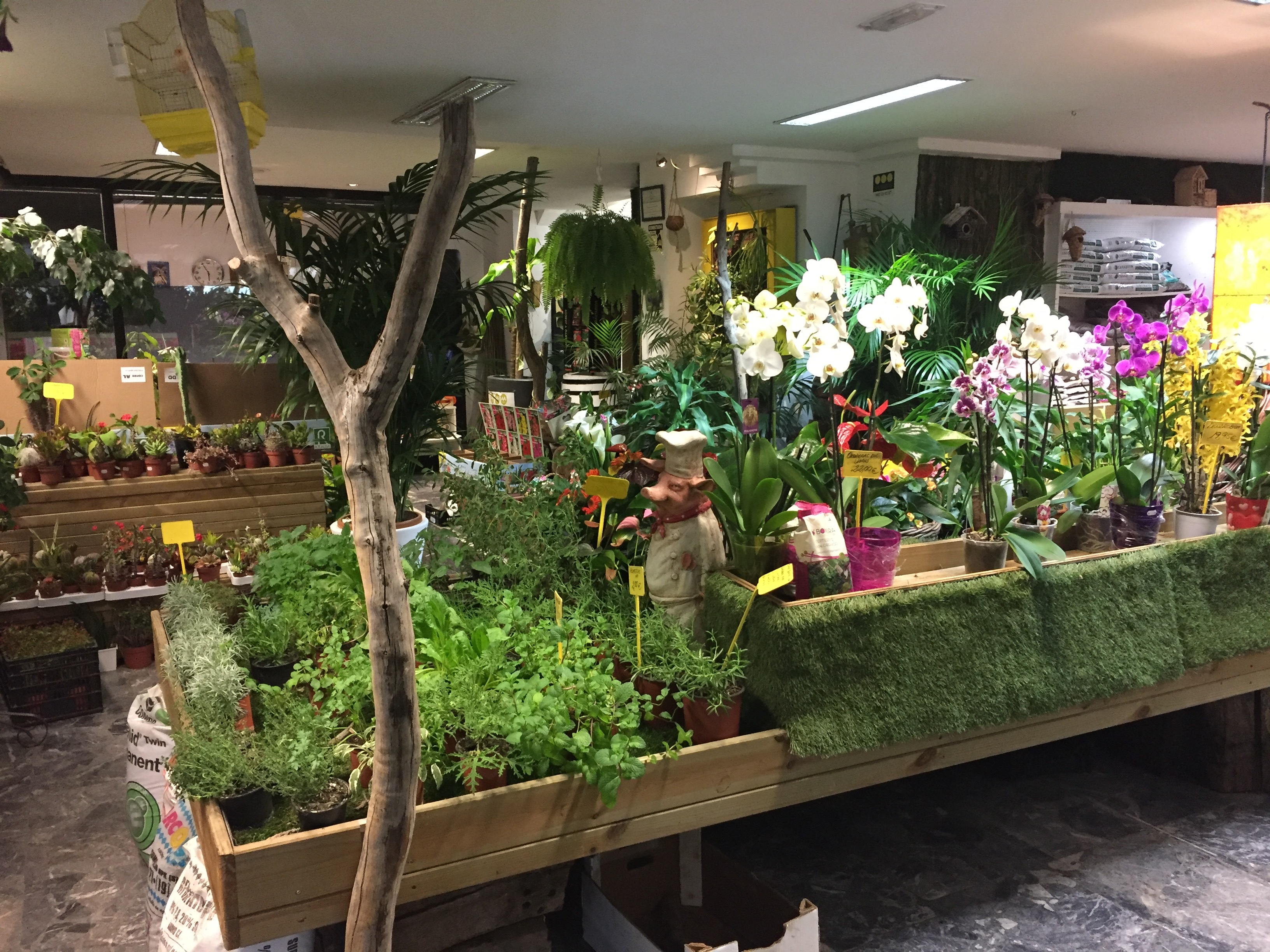 Images Grupo Anatura - La Casa De Las Semillas