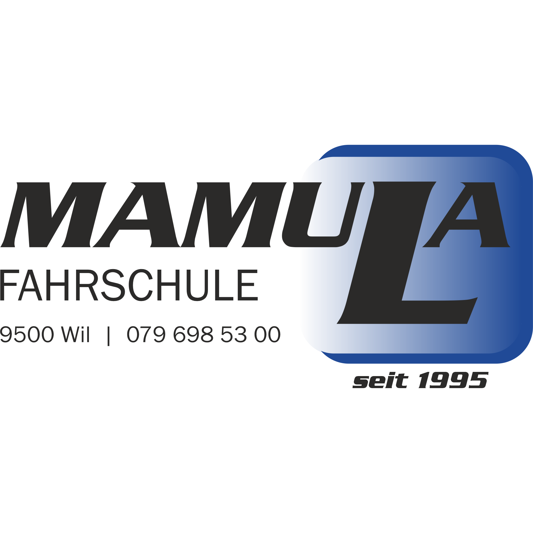 Fahrschule Mamula Logo