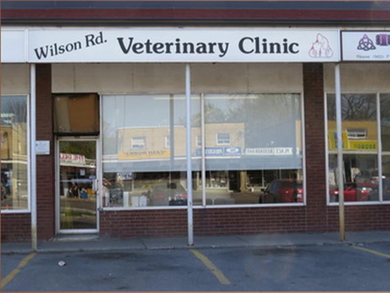 Images Wilson Road Veterinary