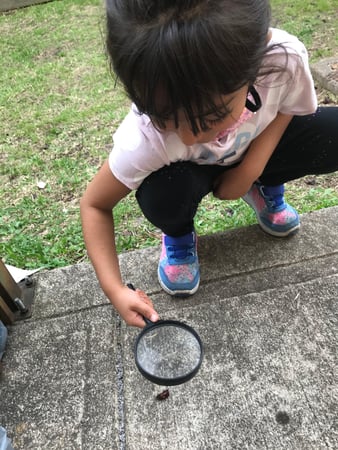 Images Teeter Toddler