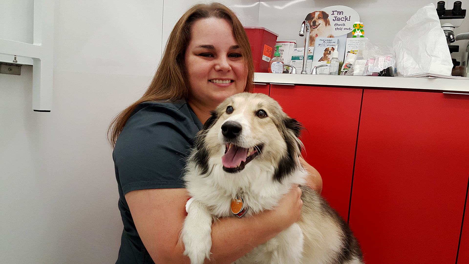 EZ Vet Veterinary Clinic-Pinellas Park Coupons near me in ...