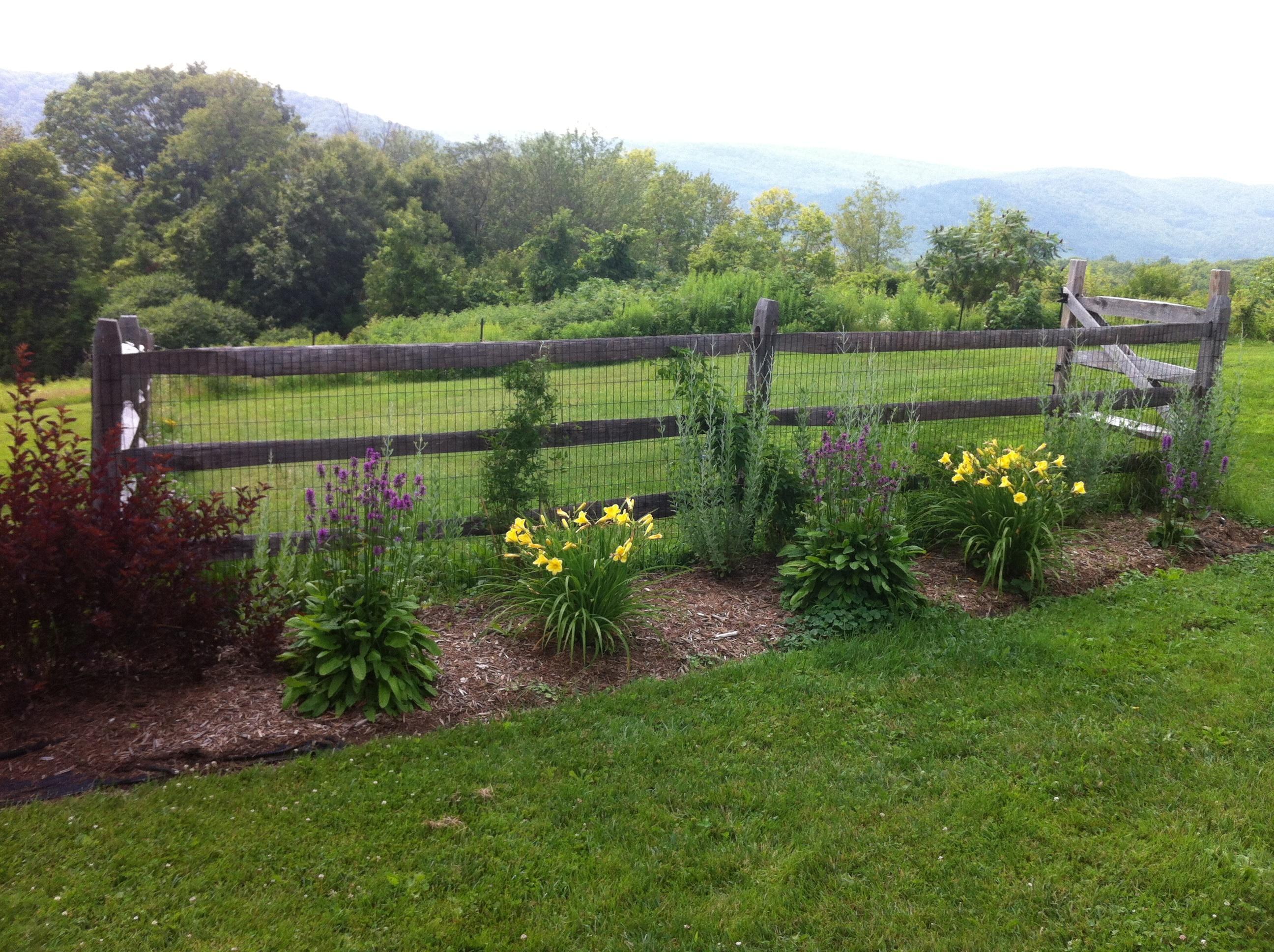Andrew's Property Maintenance LLC