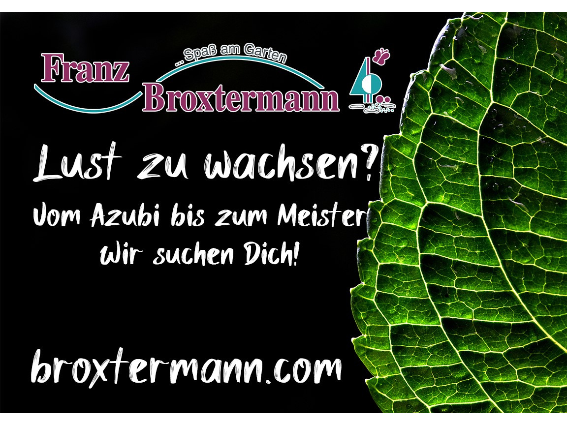 Bilder Broxtermann Garten- und Landschaftsbau GmbH & Co. KG