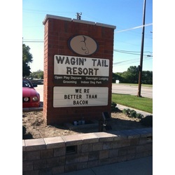 Wagin' Tail Resort & Indoor Dog Park