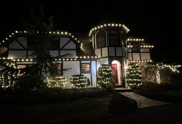 Images Rudy & Co. Holiday Lighting