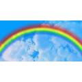 Rainbow Badges Trophies & More