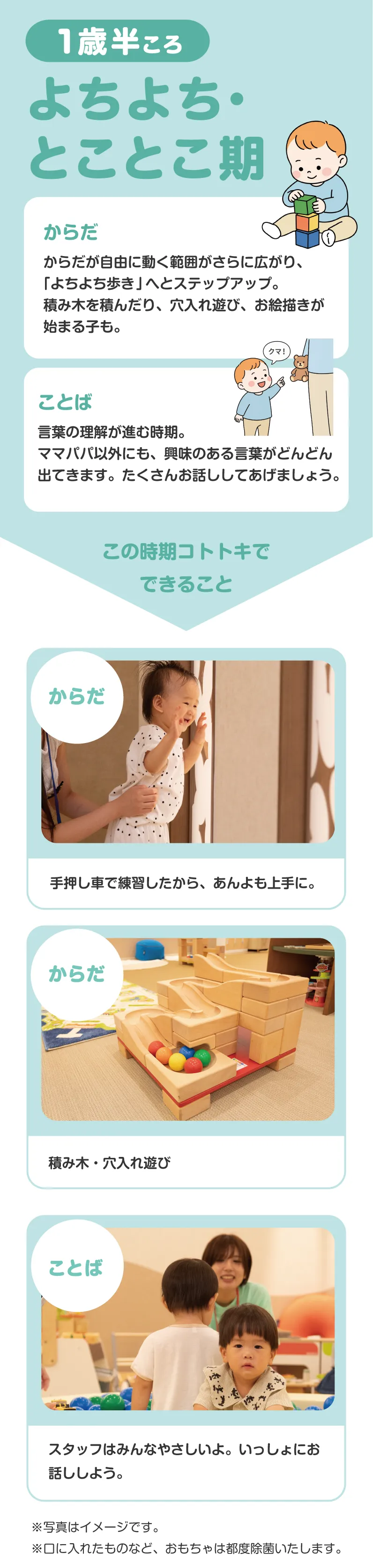 11〜12か月ごろ