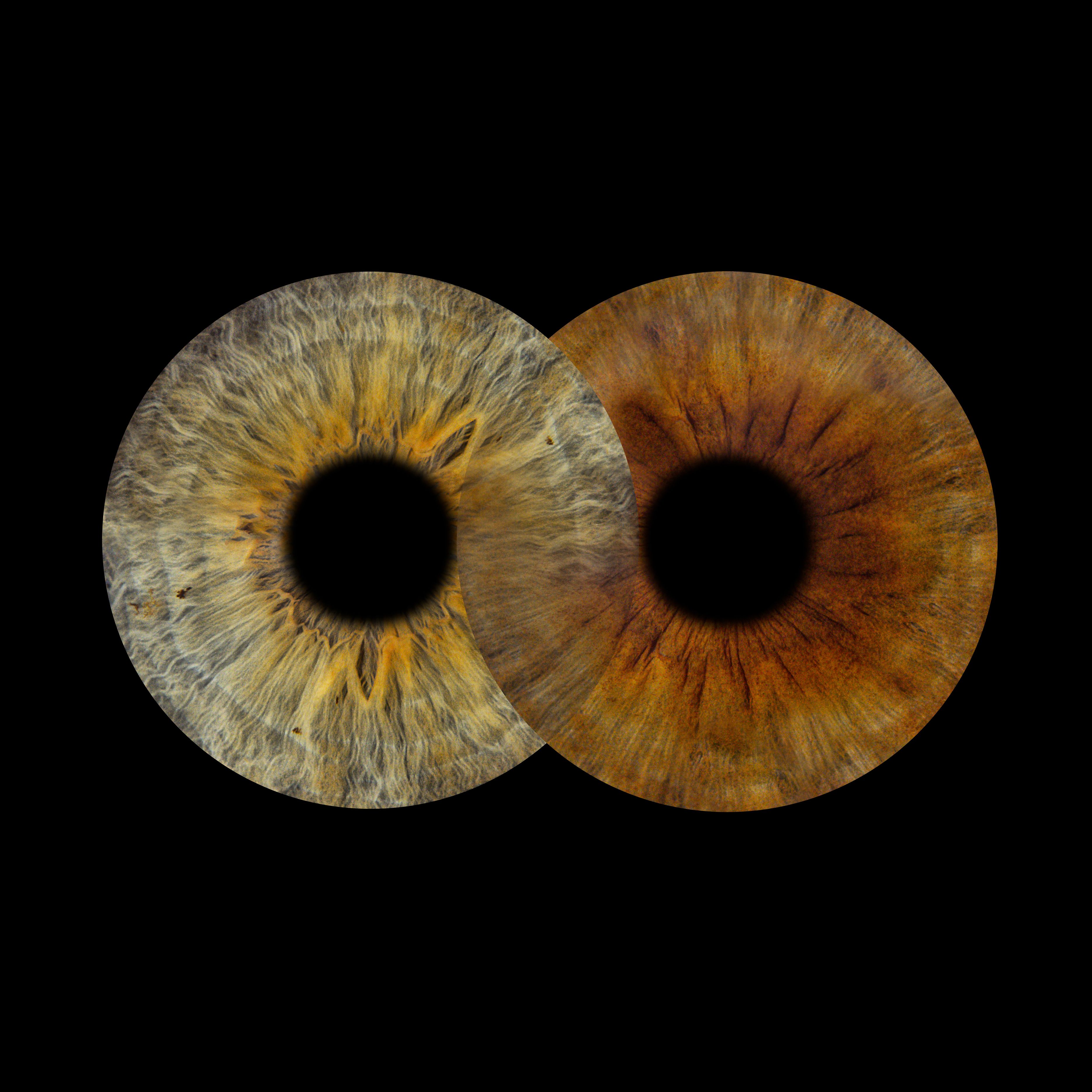Bilder You & Eye Photo Montreux