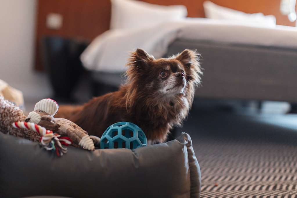 Images Radisson Blu Arlandia Hotel, Stockholm-Arlanda