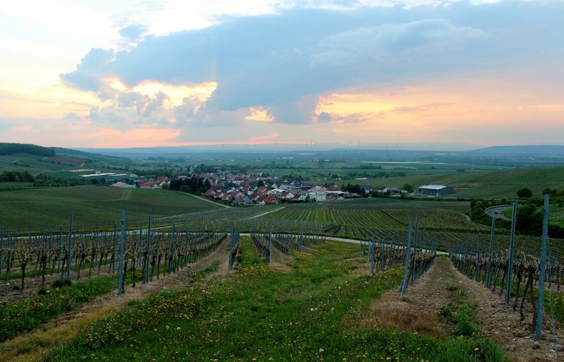 Weinhaus Uhl, Untergasse 2 in Lonsheim