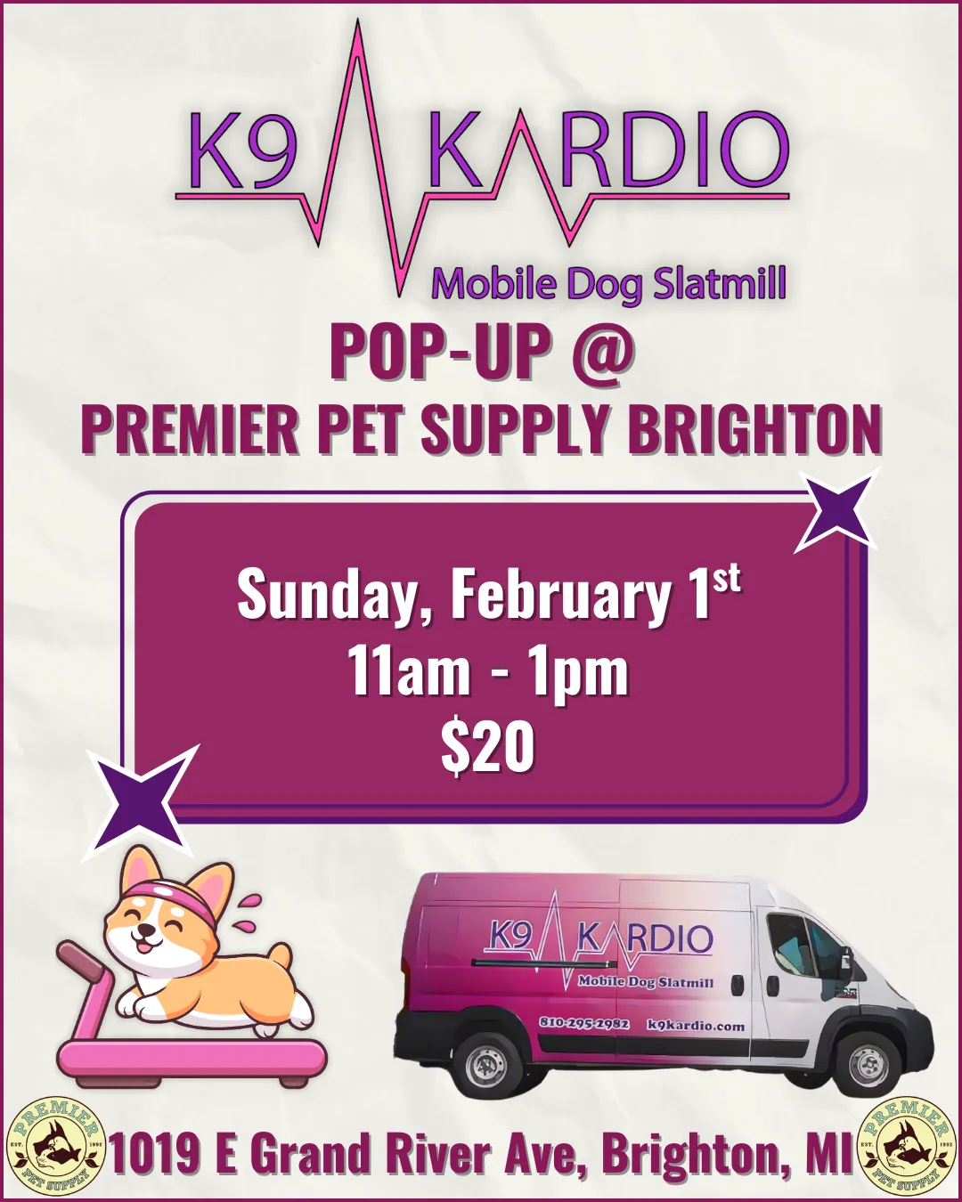 Image of Local Pet Event K9 KARDIO POP-UP | BRIGHTON Nearby