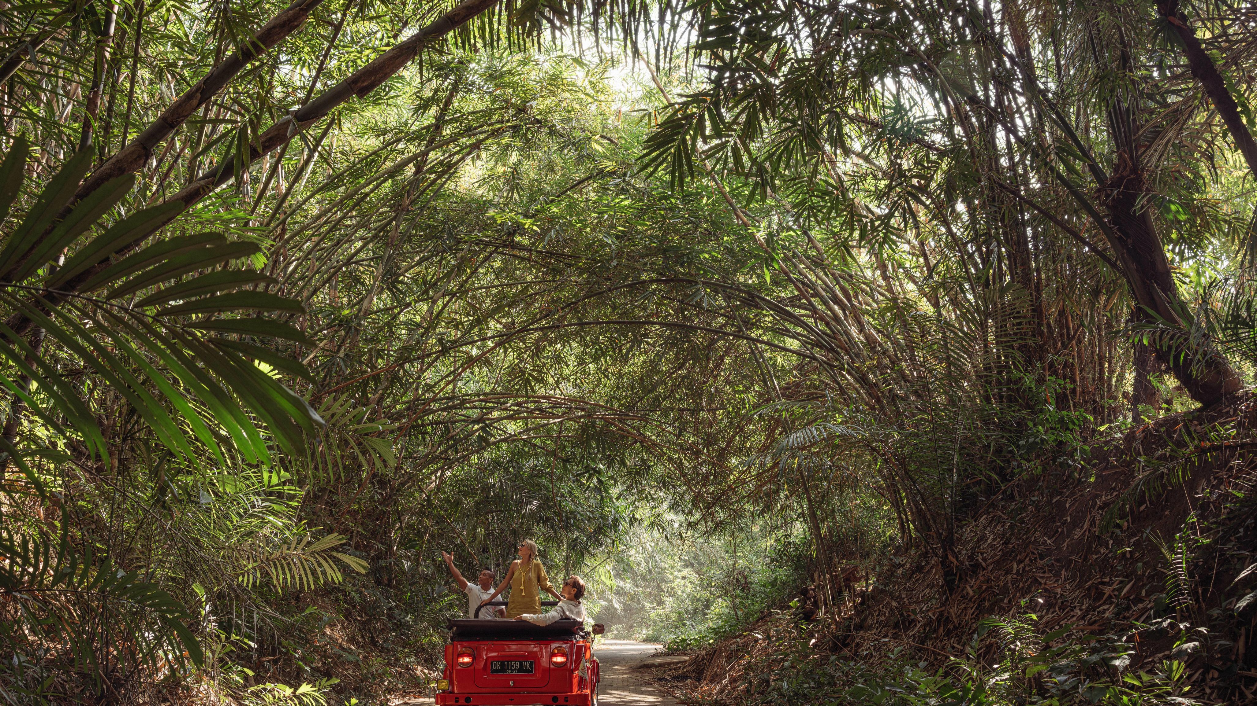 Four Seasons Resort Bali At Sayan