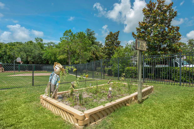 Images Primrose School at Lakewood Ranch Town Center