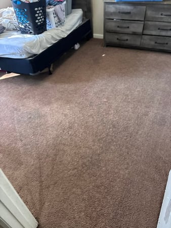 Images Peachtree Carpet Cleaners