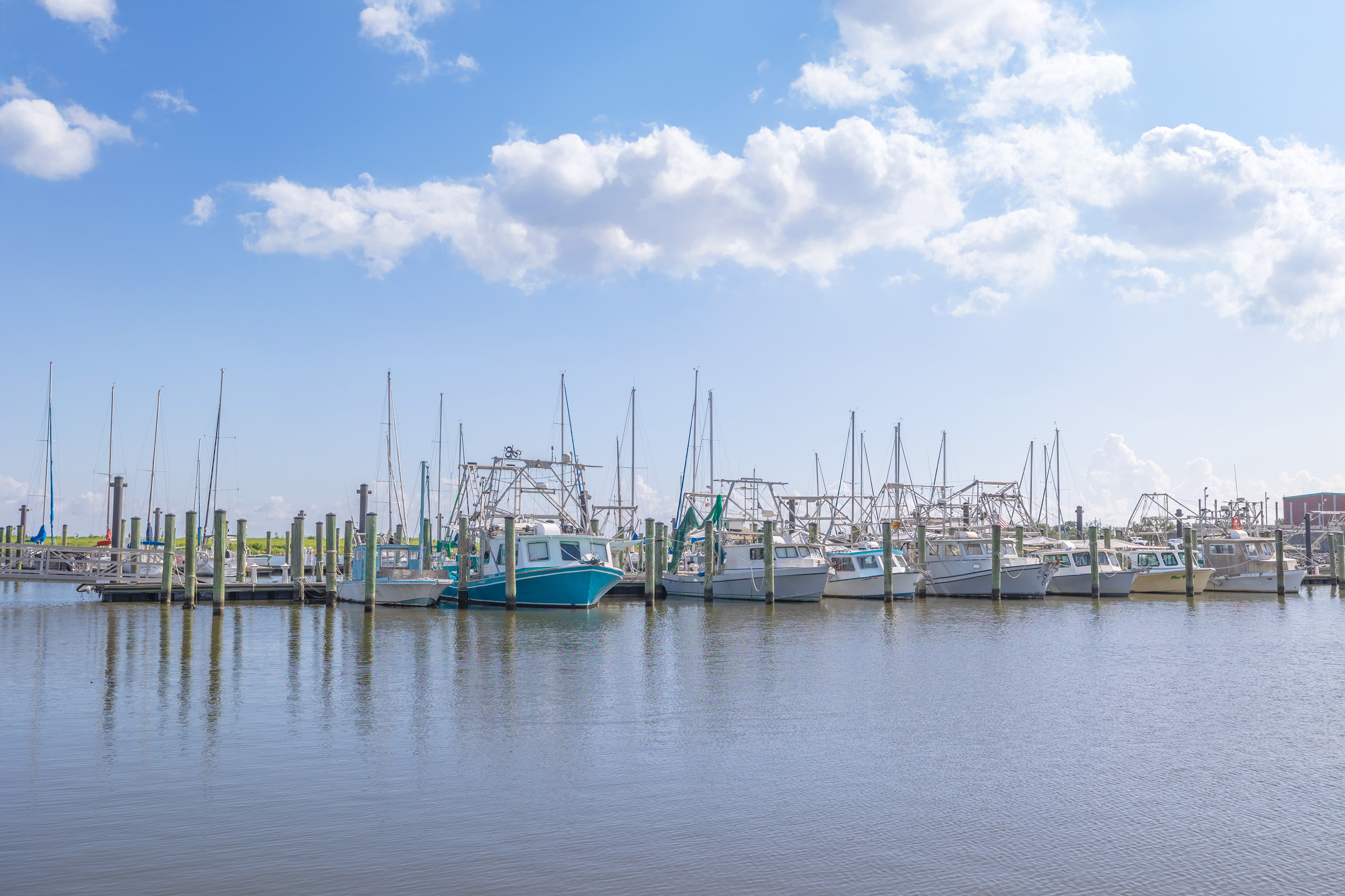 Located Near the Bucktown Marina