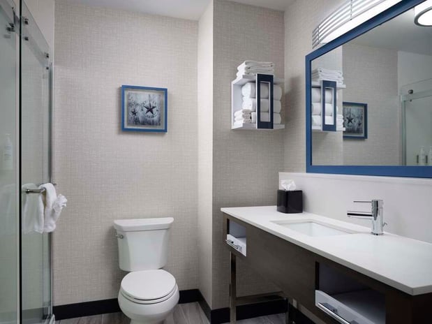 Images Hampton Inn & Suites Dallas-DFW ARPT W-SH 183 Hurst