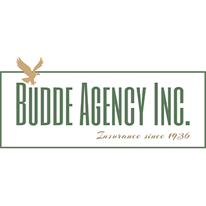 The Budde Agency, Inc. Logo