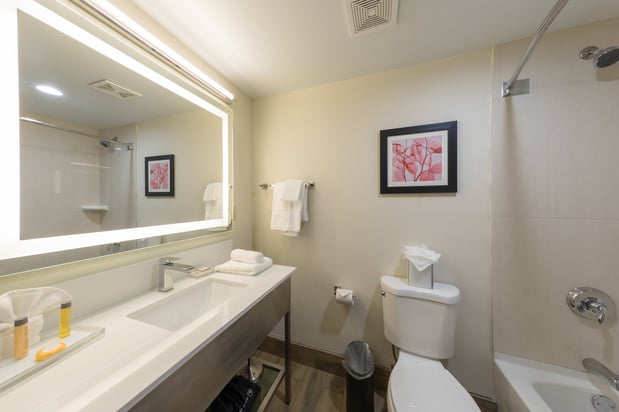 Images Holiday Inn Brookfield - ​​milwaukee by IHG