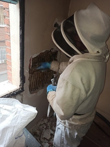 Images Retirar Abejas