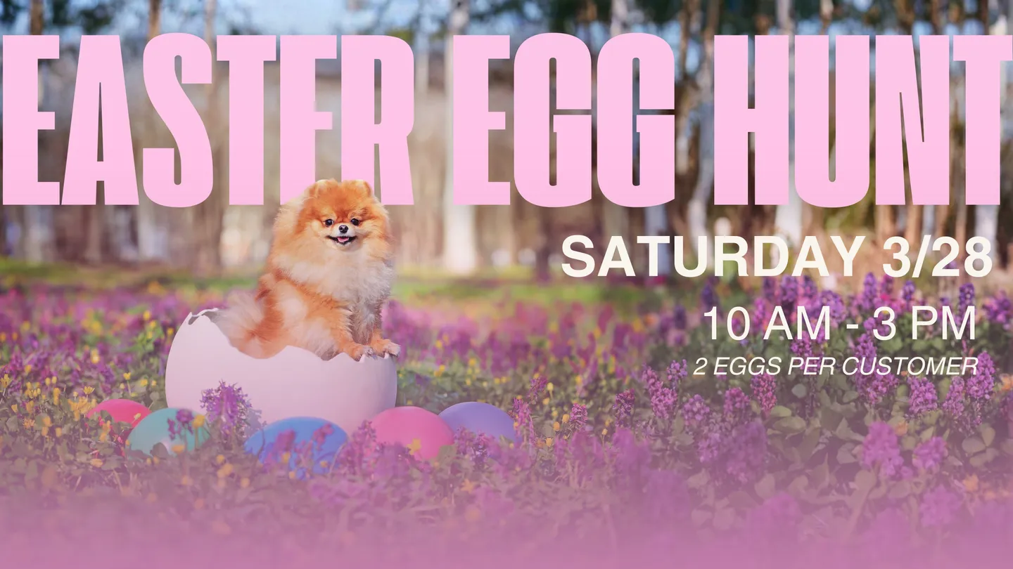 Image of Local Pet Event Easter Egg Hunt (10AM–3PM) Nearby