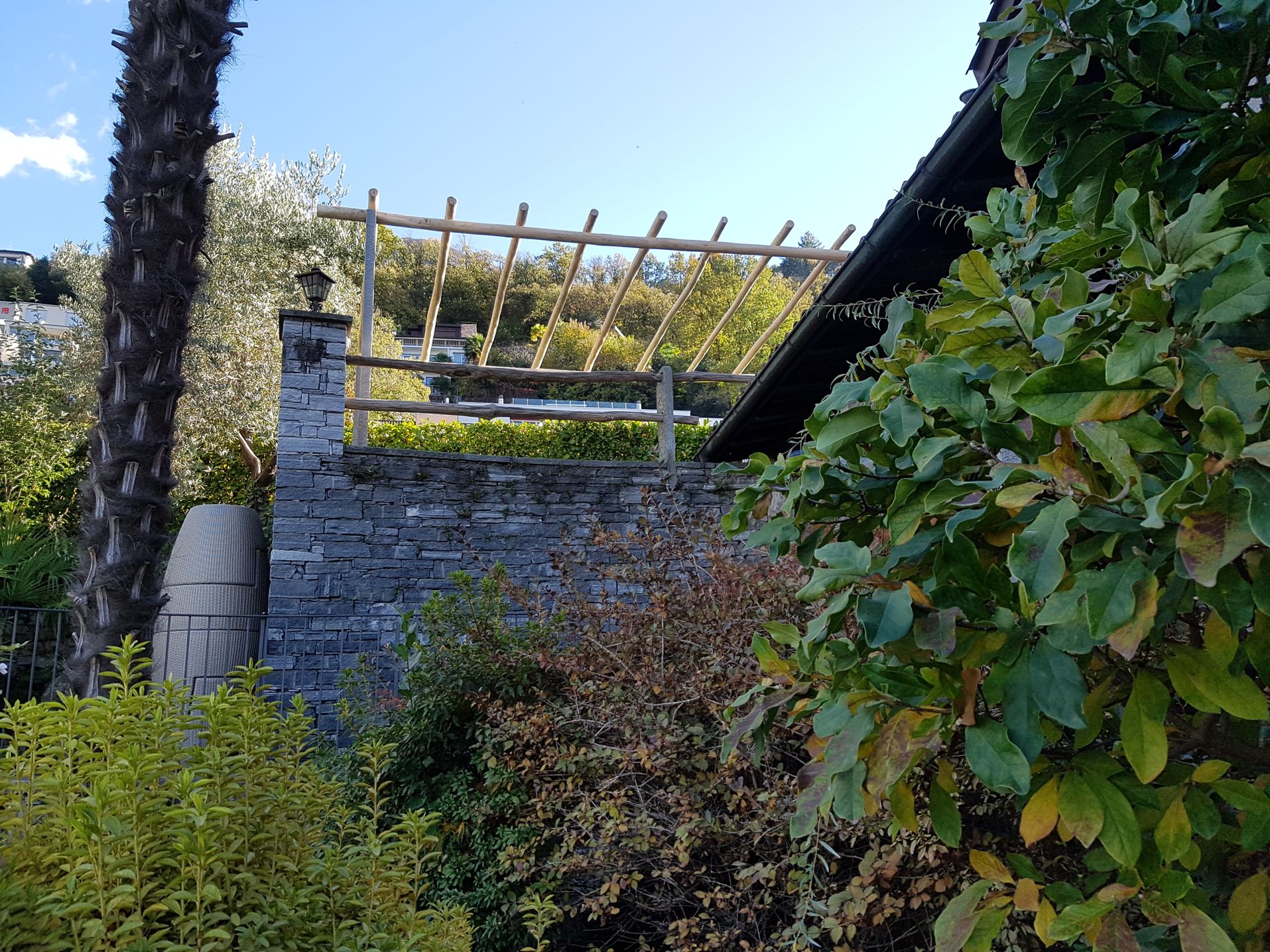 Bilder BaumGärtner - Giardini