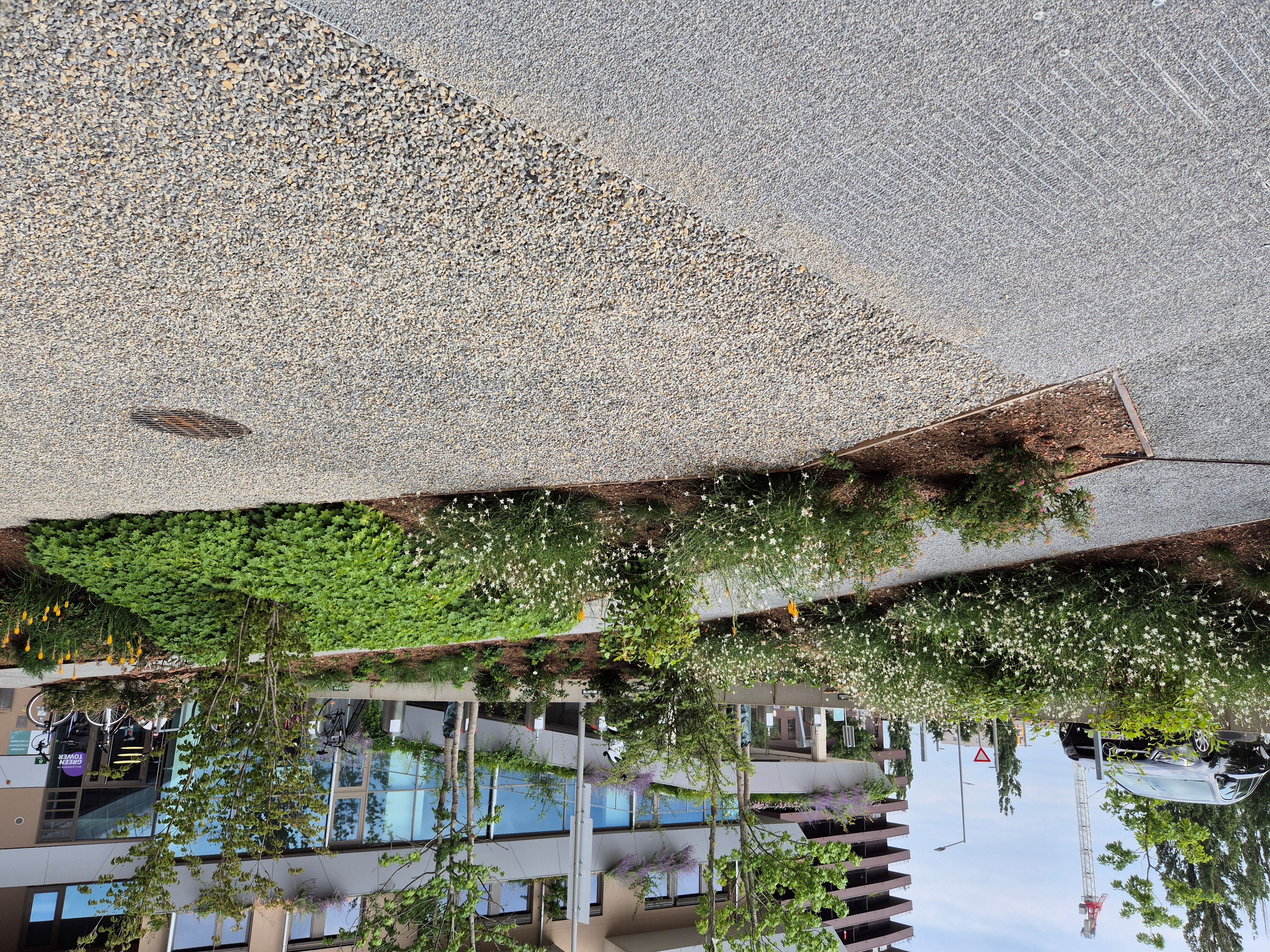 Bild 8 von KAINERSDORFER - Gartengestaltung & Pflasterer