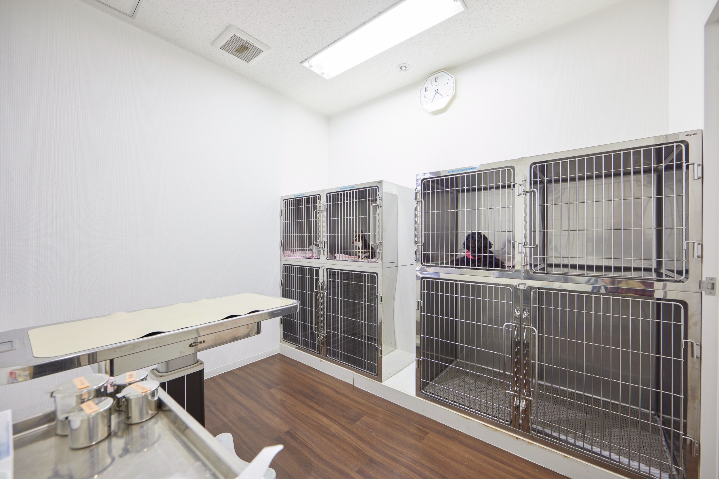 Images 飯塚パル動物病院 PAL動物病院グループ