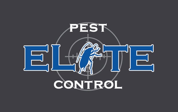 Images Elite Pest Control