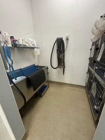 Images Petco Grooming