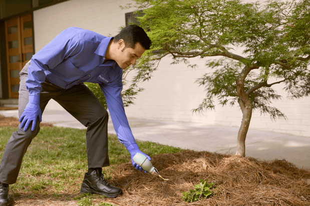 Images PURCOR Pest Solutions