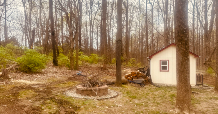 A fire pit, a small shed, and a pile of firewood are visible in a wooded area. The shed is cream-colored with a red roof and a red-trimmed window. In front of the shed is a pile of cut logs next to a wheelbarrow. A circular stone fire pit filled with branches is in the foreground. The ground is covered with dry leaves and dirt, and tire tracks are visible in the mud.