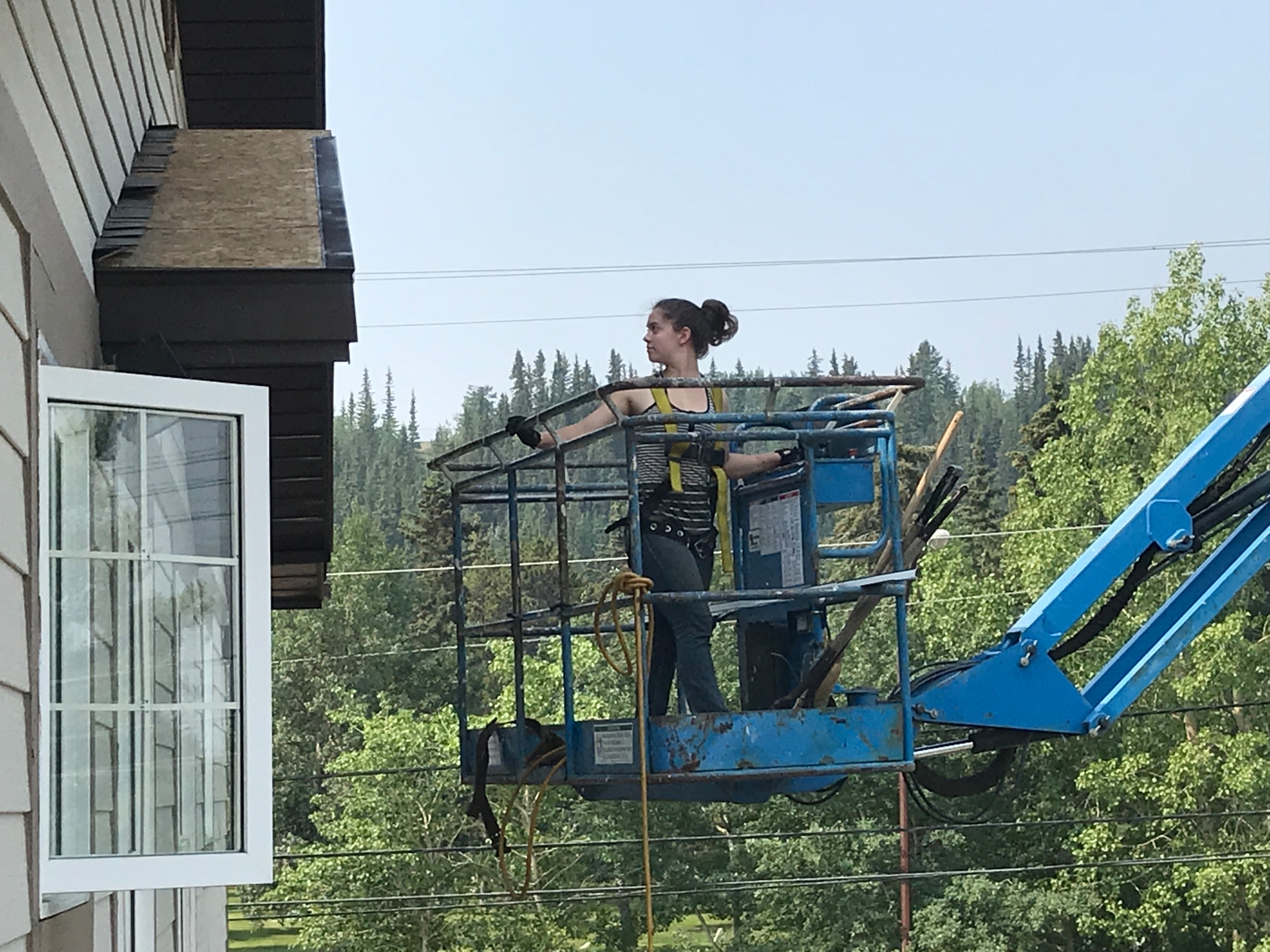 Images The Whitehorse Roofing Company