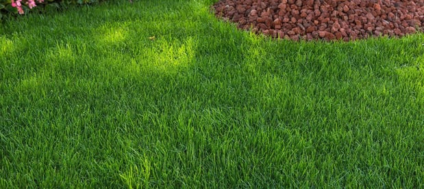 Images Linex Property Care