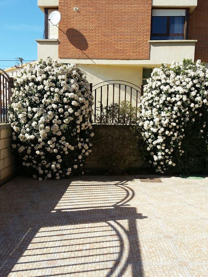 Images Jardinería el Campillo