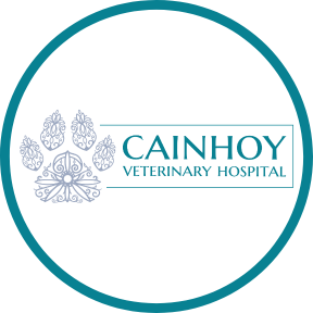 Cainhoy Veterinary Hospital - Charleston, SC 29492 - (843)971-6200 | ShowMeLocal.com